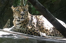 Oregon Zoo