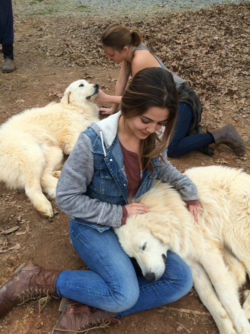 Danielle Campbell