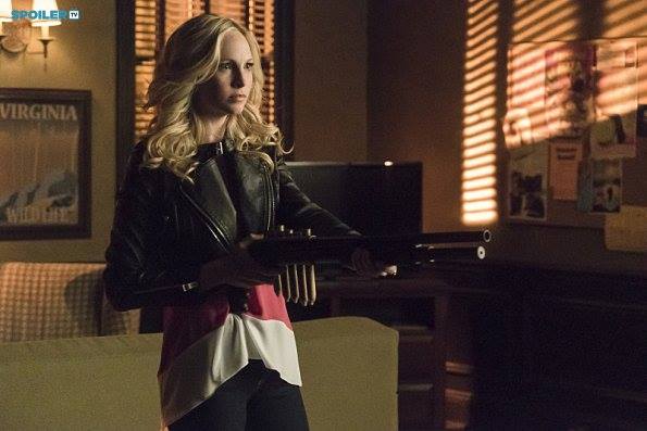 Candice Accola