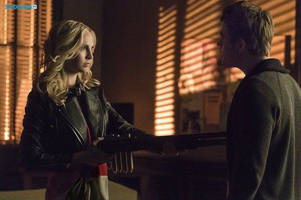 Candice Accola