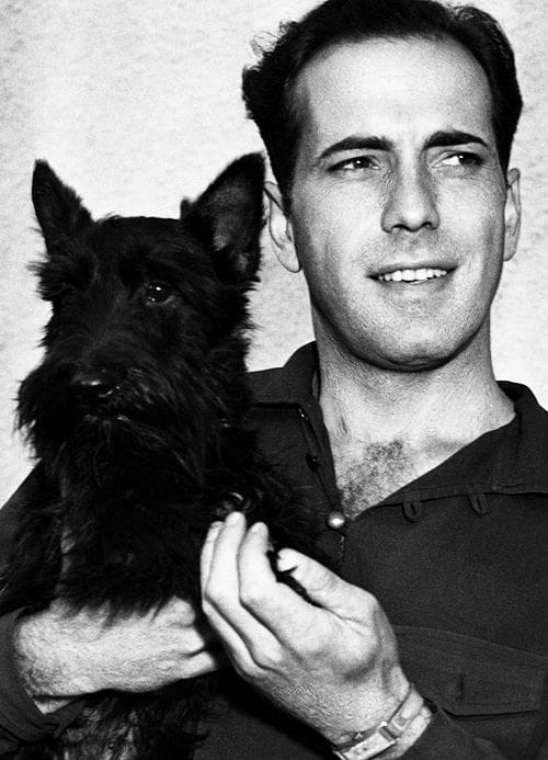 Humphrey Bogart