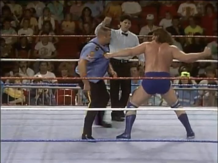 WWF: Royal Rumble 1990 [VHS]