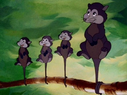 Possums