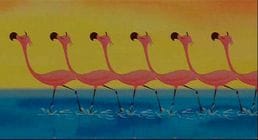 Snooty Flamingos