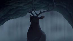 The Elk