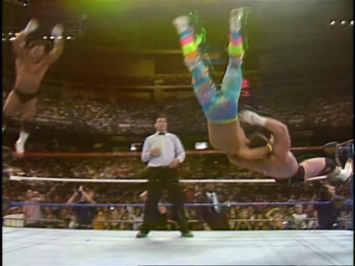 WWF: Summerslam 1990 