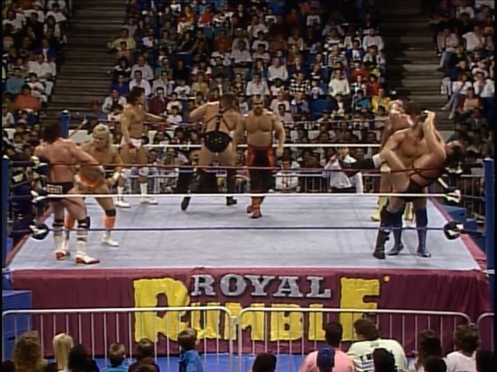 WWF: Royal Rumble 1991 [VHS]