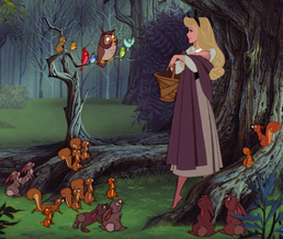 Forest Animals