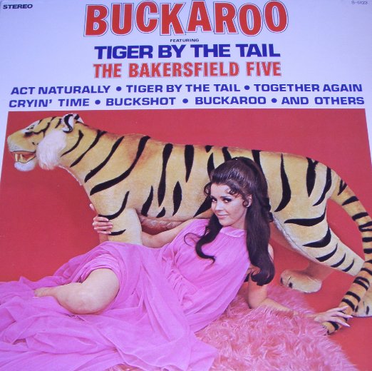Bakersfield Five - Buckaroo