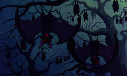 Bats