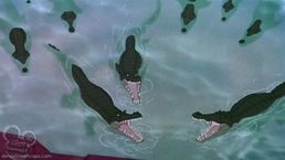 Crocodiles