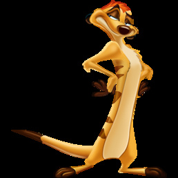 Timon