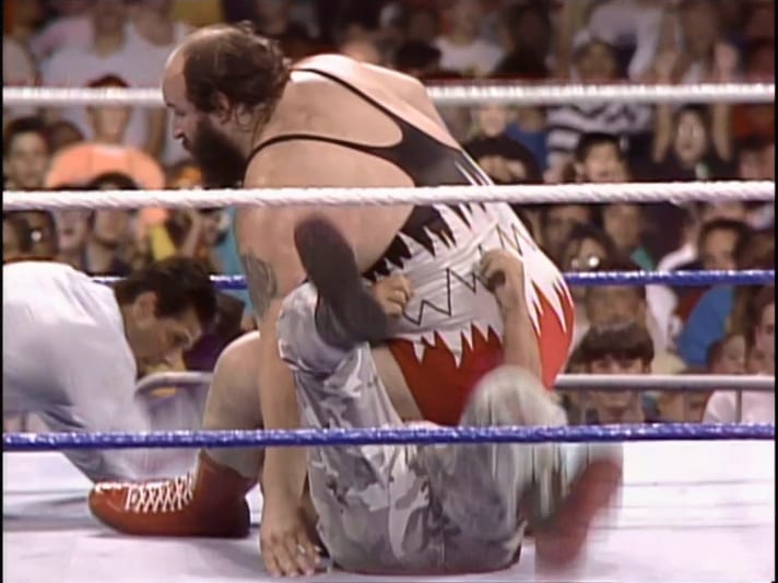 WWF: Summerslam 1991 