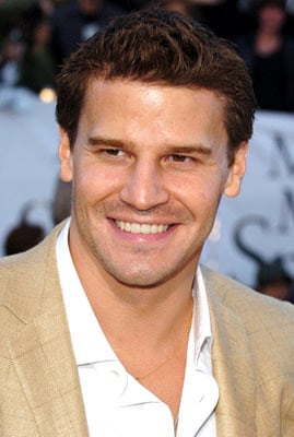 David Boreanaz