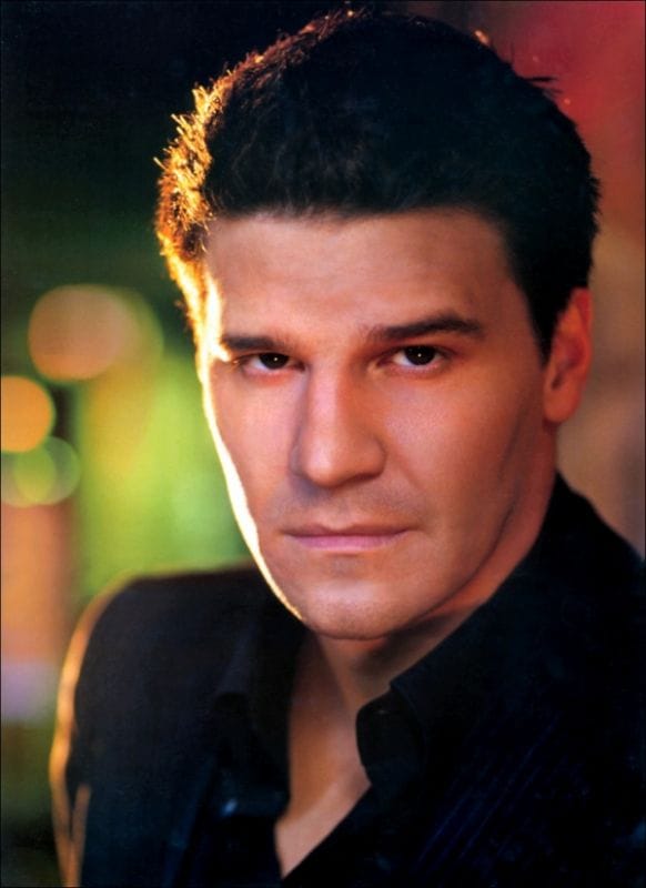 Picture of David Boreanaz