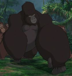Kerchak