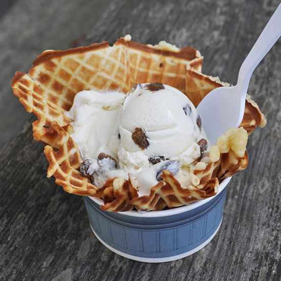 Picture of Rum and Raisin Ice Cream