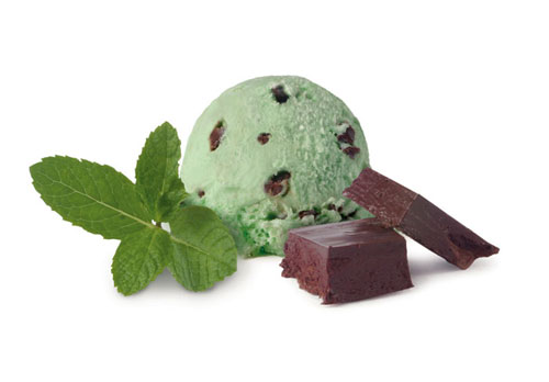 Mint Chocolate Chip Ice Cream Mint Chocolate Chip Ice Cream