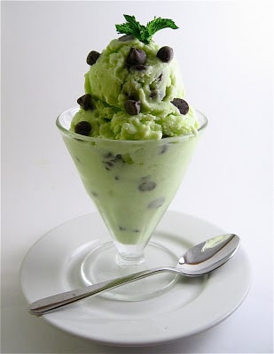 Mint Chocolate Chip Ice Cream