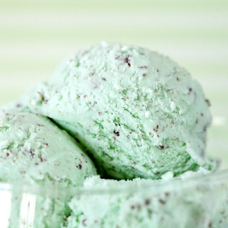 Mint Chocolate Chip Ice Cream Mint Chocolate Chip Ice Cream