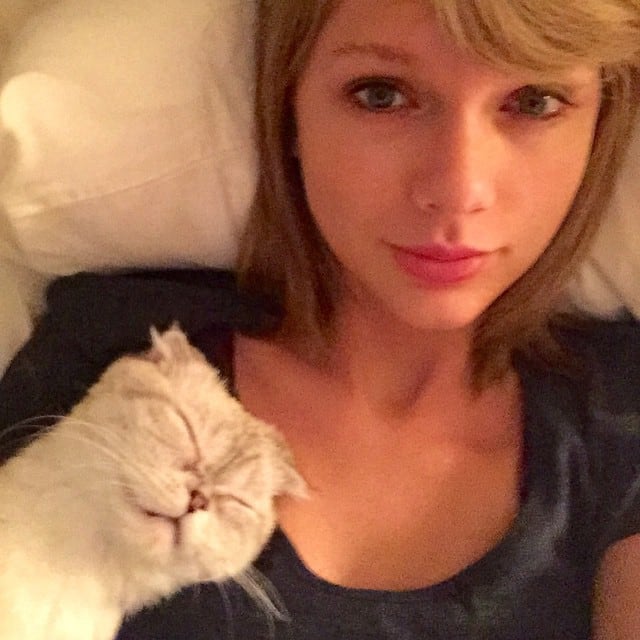 Taylor Swift Taylor Swift