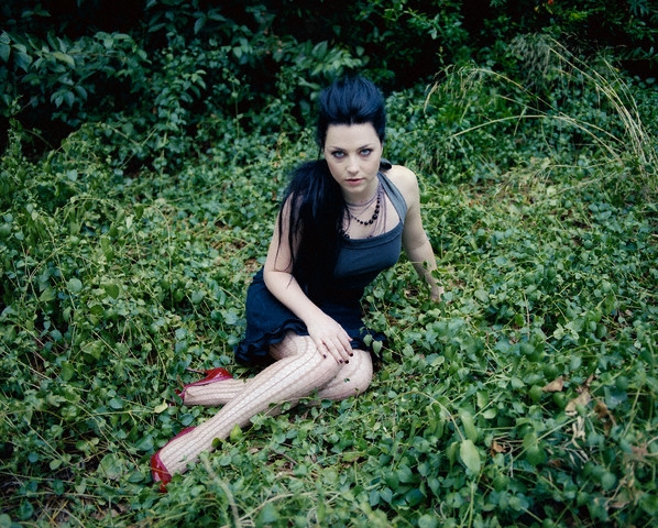 Amy Lee Amy Lee