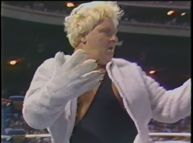WWF Wrestlefest [VHS]