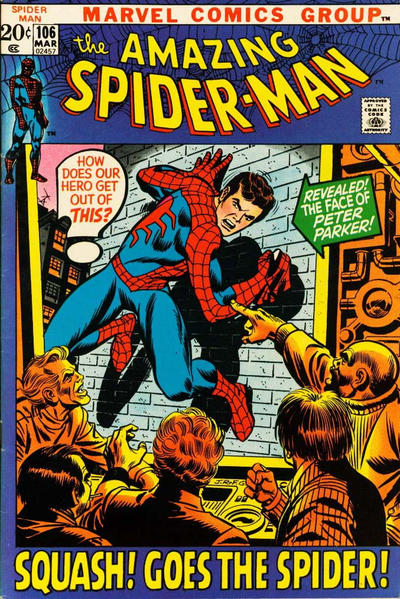 The Amazing Spider-Man The Amazing Spider-Man