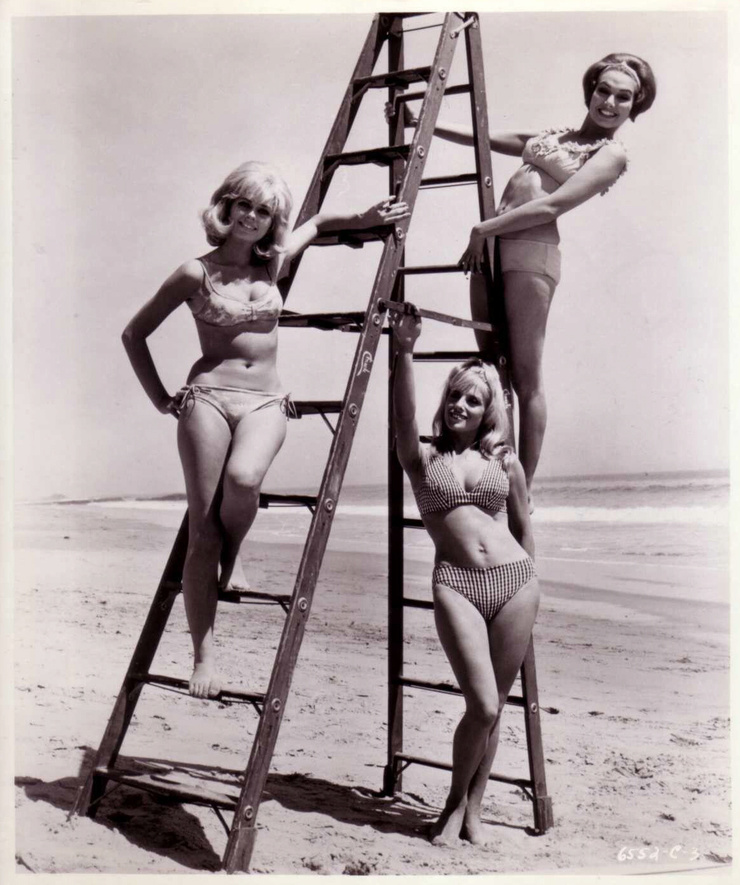 How to Stuff a Wild Bikini How to Stuff a Wild Bikini