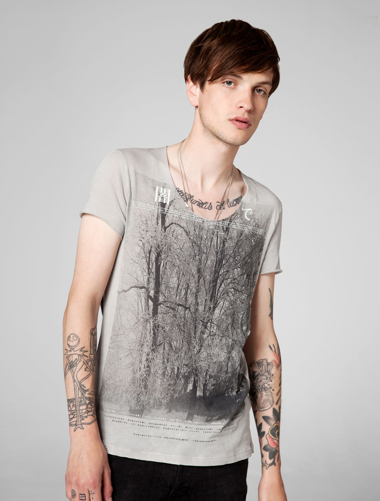 Will Westall