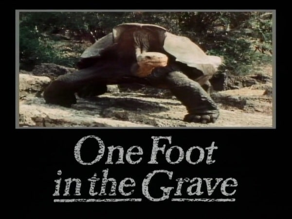 One Foot in the Grave