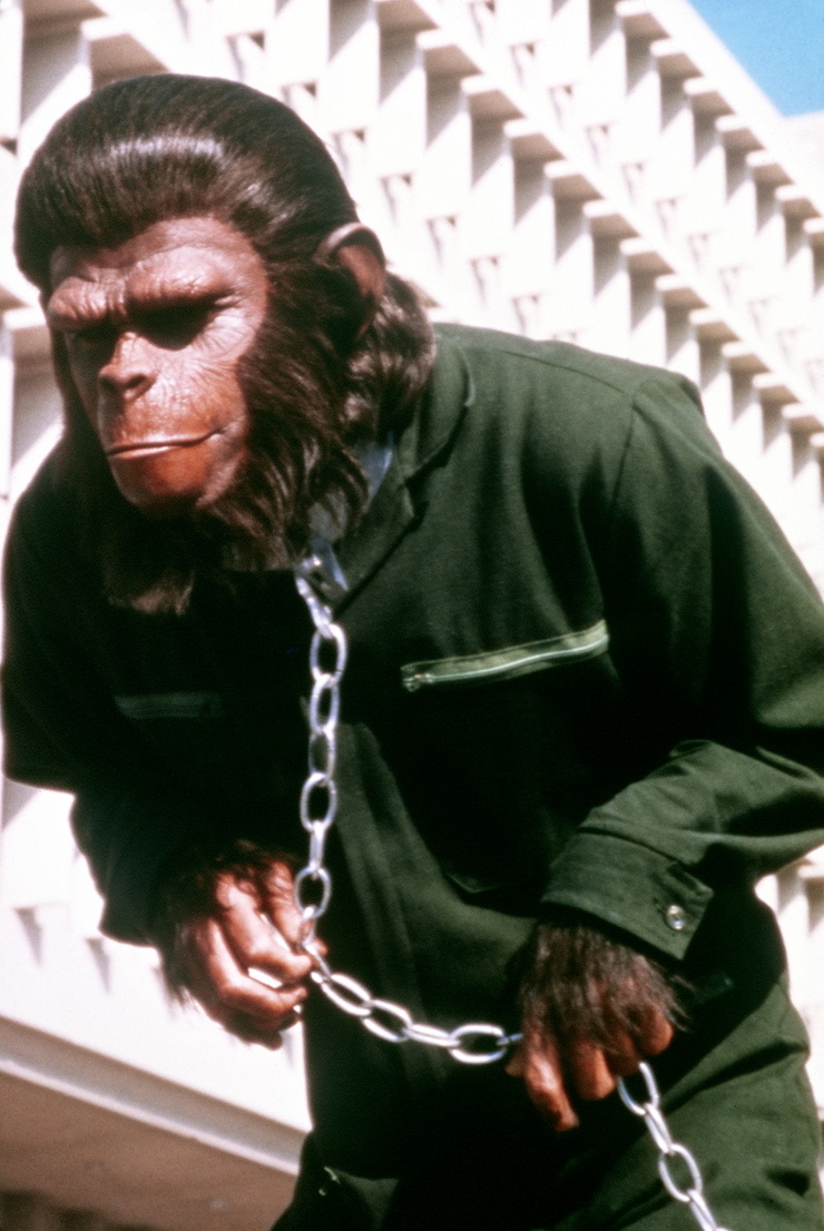 740full-conquest-of-the-planet-of-the-apes-%281972%29-photo.jpg