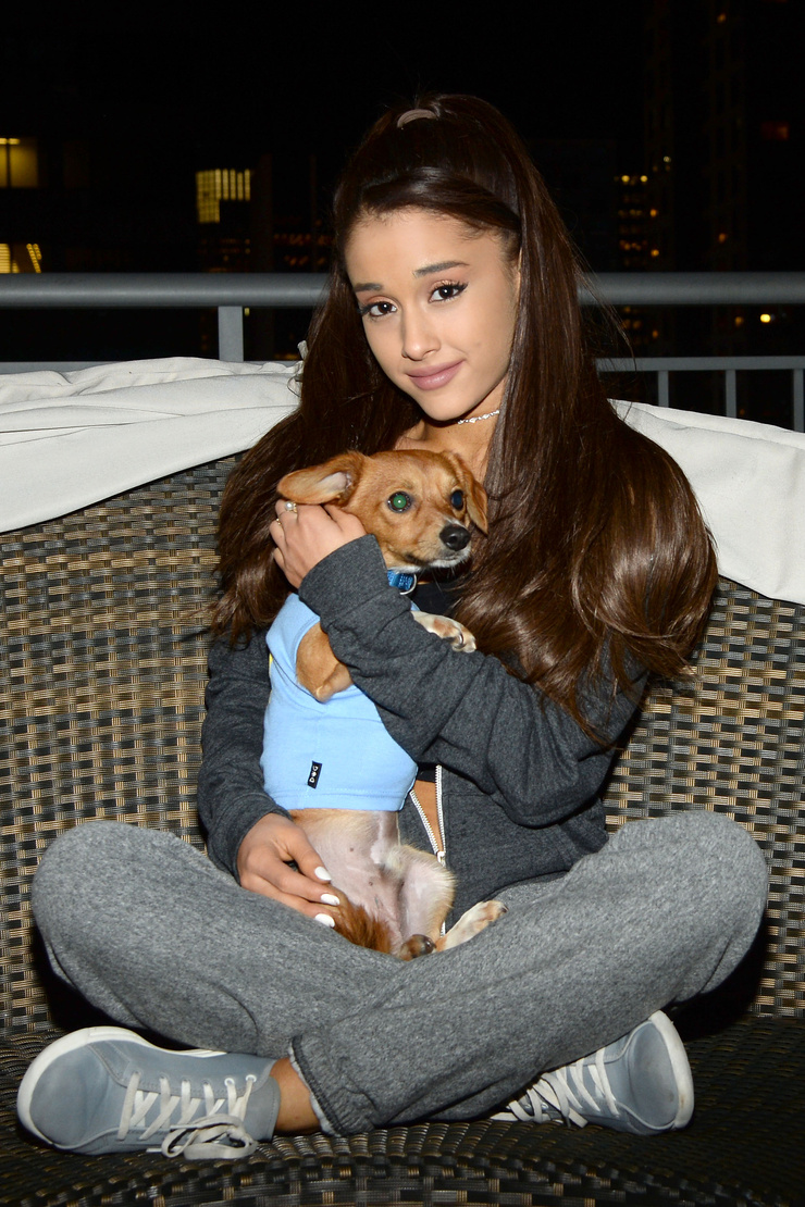 Ariana Grande Ariana Grande