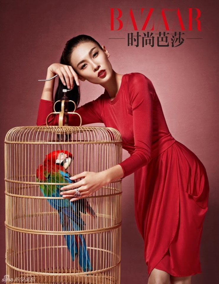 Zhang Lanxin
