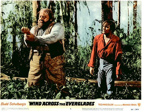 Wind Across the Everglades