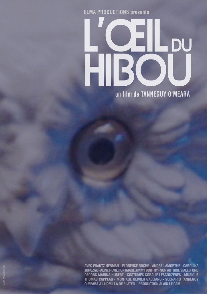 L'oeil du hibou