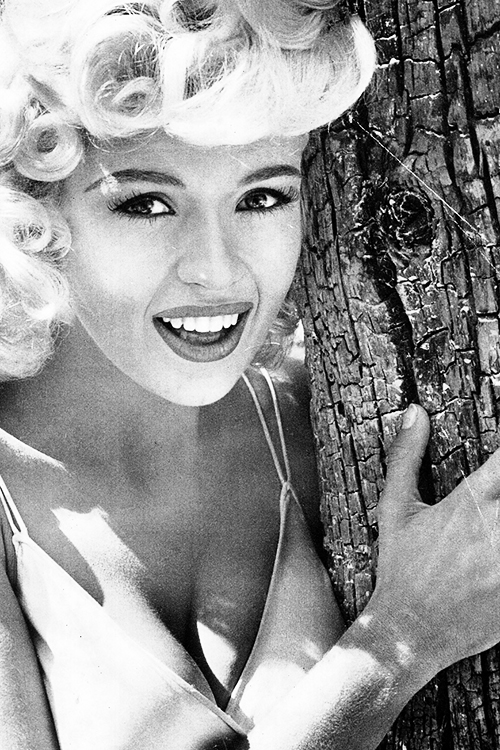 Jayne Mansfield Jayne Mansfield