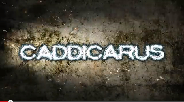 Caddicarus