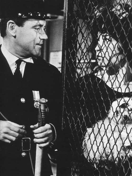 Irma la Douce