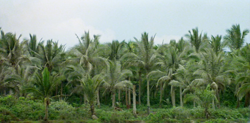 Apocalypse Now