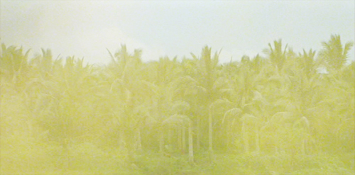 Apocalypse Now
