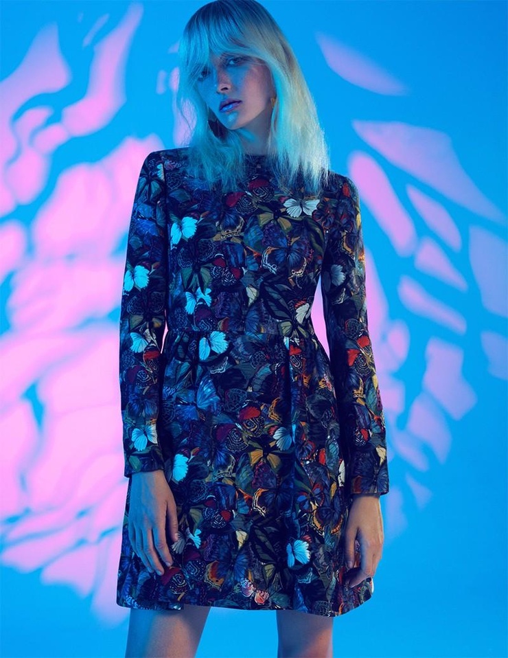 Maja Salamon
