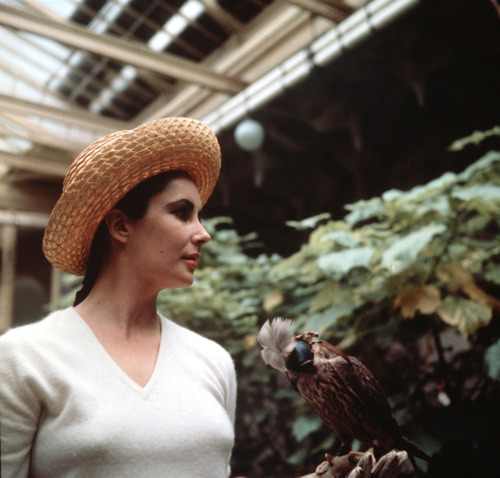 Elizabeth Taylor