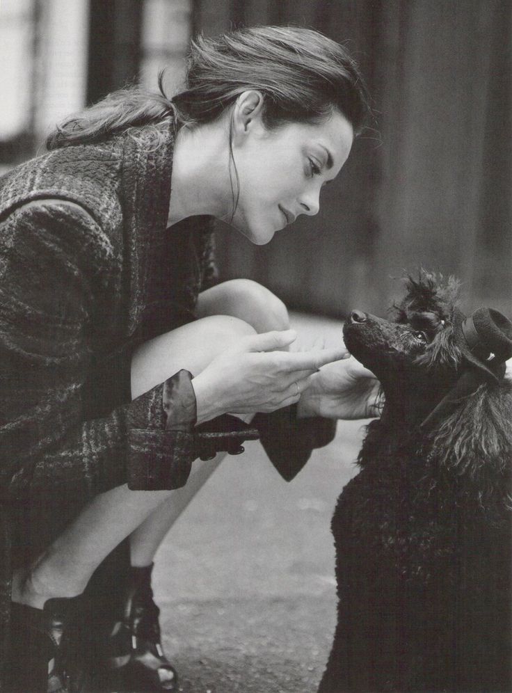 Marion Cotillard Marion Cotillard