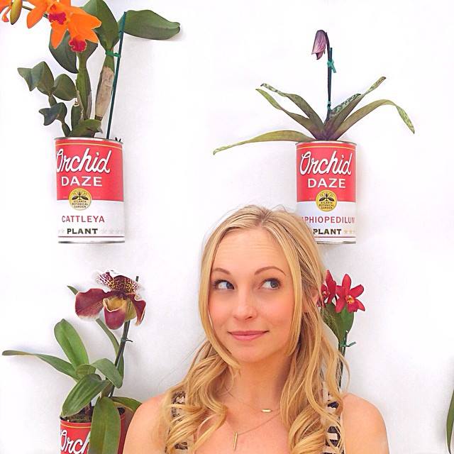 Candice Accola