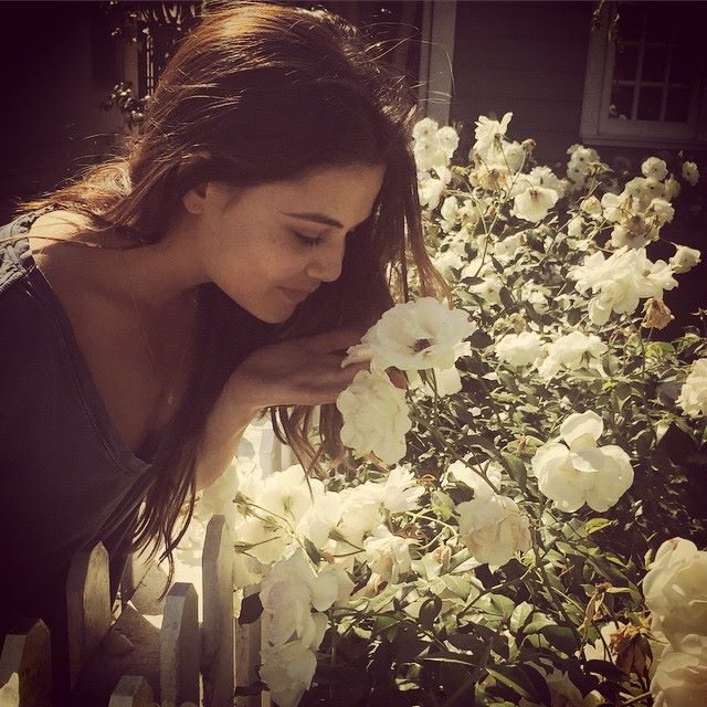 Danielle Campbell Danielle Campbell