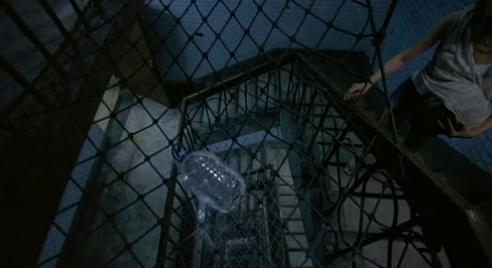 The Wayward Cloud (2005)