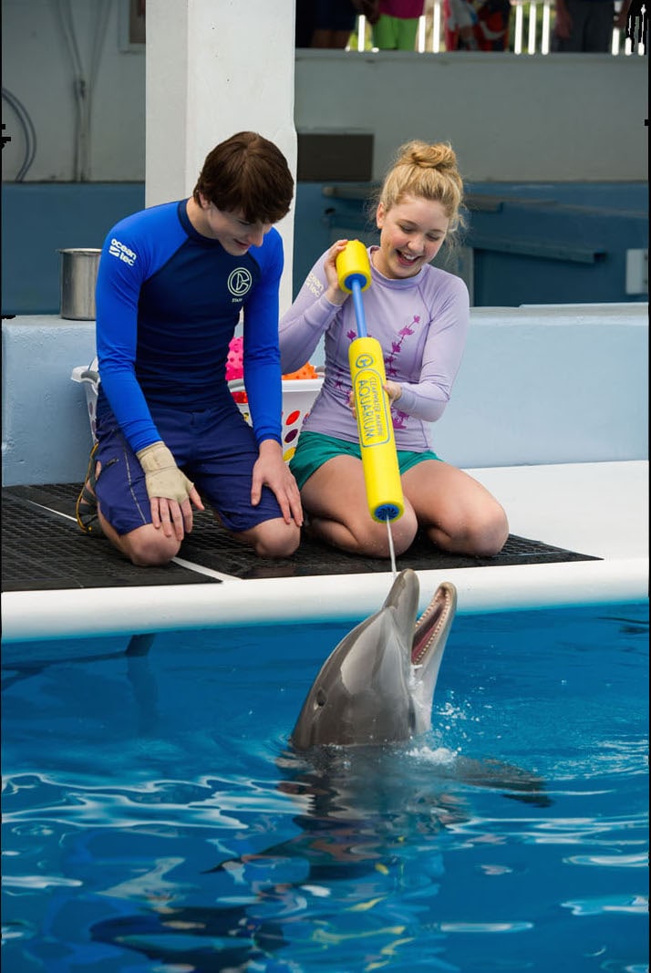 Dolphin Tale 2