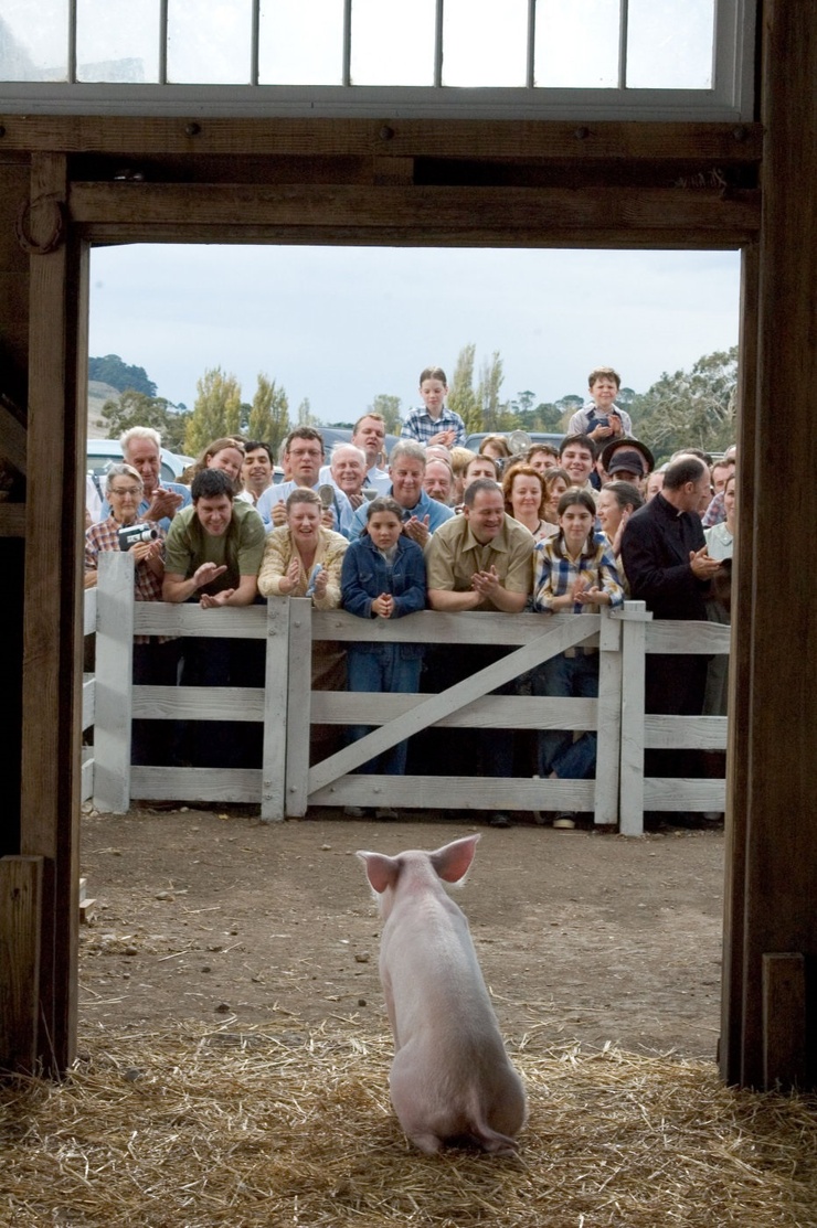 Charlotte's Web