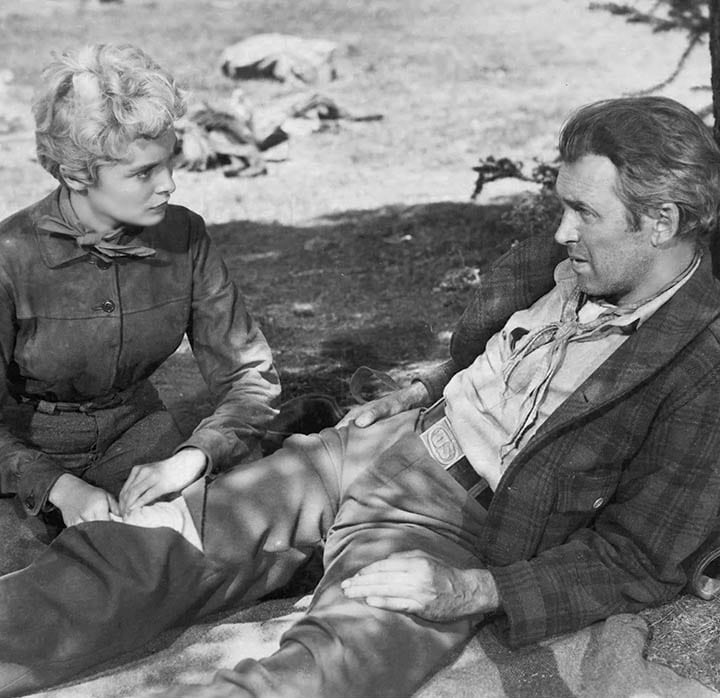 The Naked Spur (1953) The Naked Spur (1953)